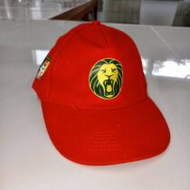 casquette lions indomptables