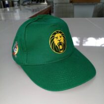 casquette lions indomptables