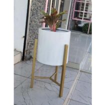 Pots de Fleurs Créatifs pour Plantes + Plantes Vertes