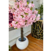 Plantes Mini Cherry Blossom Décoratifs + Pots de Fleurs pour Plantes