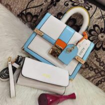 Sac à Main ALDO 2 en 1 - Générique - Collection - blanc & bleu clair
