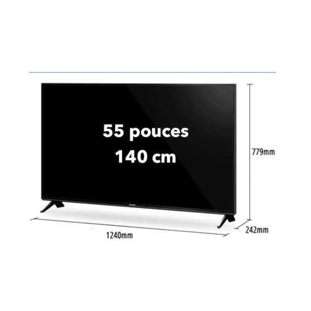 location-ecran-55-pouces