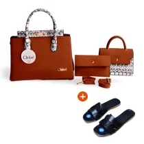Sac_à_main_Chloé_avec_sandale