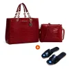 Sac_à_main_Michael_Kors_avec_sandale
